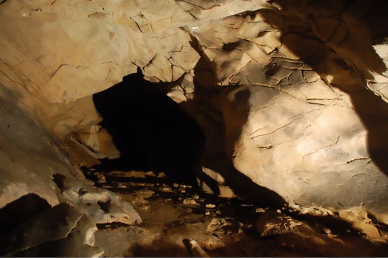 Una imagen del interior de Cova Eirós