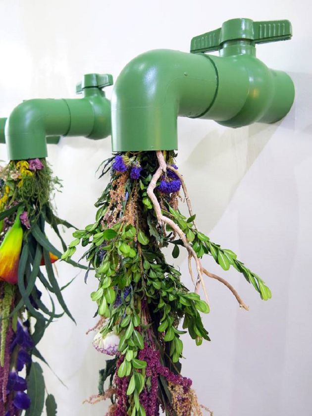 Arte floral para transformar los patios de Córdoba | Radio Córdoba