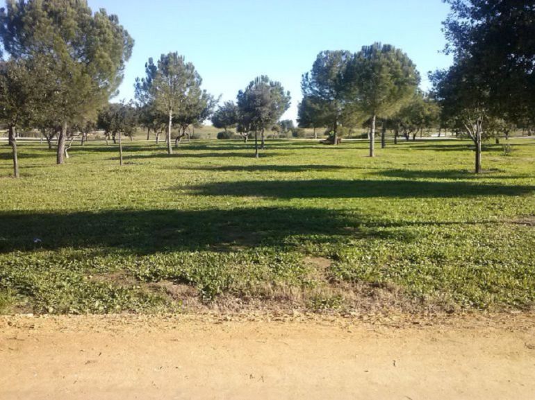 A prisión el detenido por violación en el parque del Tamarguillo: A prisión el detenido por violación en el parque del Tamarguillo