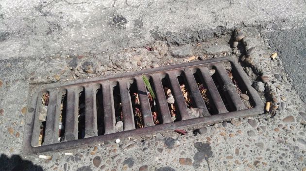 Badajoz Adelante pide al Ayuntamiento que inicie la limpieza de