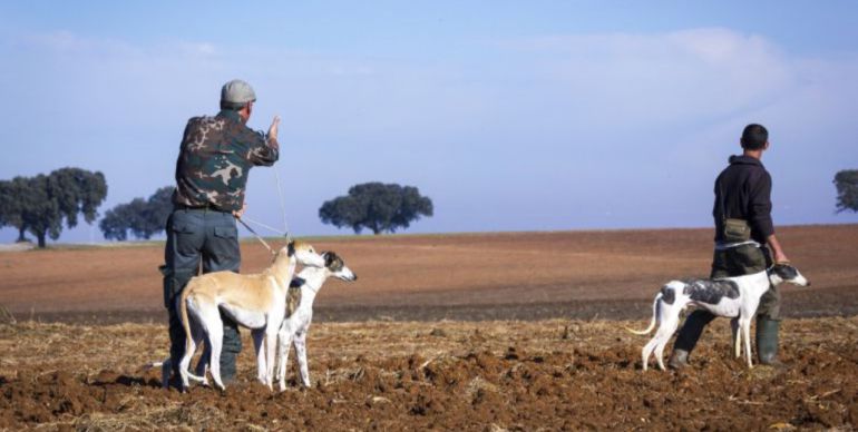 En los últimos 15 años, el número de cazadores ha descendido un 25 % en Castilla-La Mancha