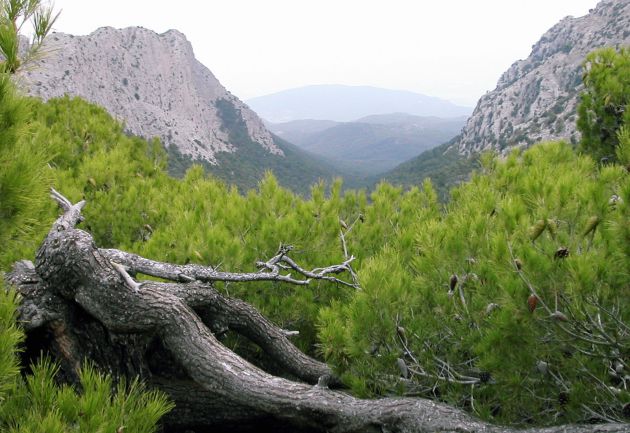 Imagen del Parque Regional de Sierra Espuña
