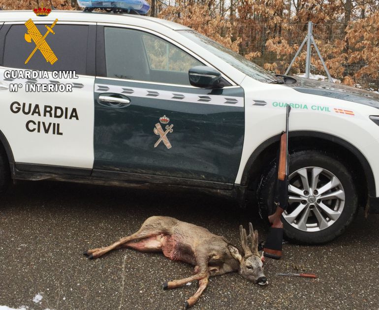 La Guardia Civil Investiga En Palencia A Un Cazador Por Abatir Un Corzo En Periodo De Veda Radio Palencia Actualidad Cadena Ser