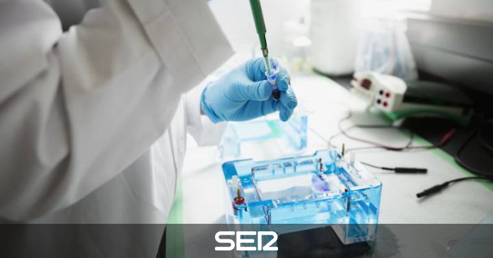 Pautas para la biopsia de próstata Pautas para la biopsia de próstata