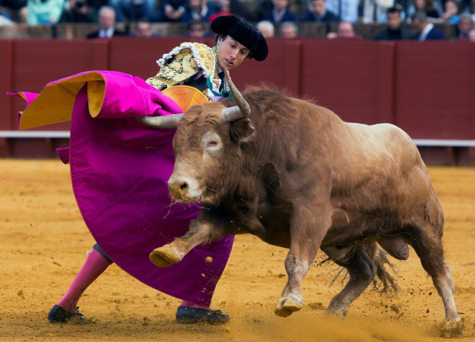 GRAF9337. SEVILLA, 08/04/2018.- El diestro Román da un pase con el capote al primero de su lote, durante la segunda corrida de abono de la Feria de Abril celebrada esta tarde en la plaza de toros de la Maestranza, en Sevilla. EFE/Raúl Caro GRAF9337. SEVILLA, 08/04/2018.- El diestro Román da un pase con el capote al primero de su lote, durante la segunda corrida de abono de la Feria de Abril celebrada esta tarde en la plaza de toros de la Maestranza, en Sevilla. EFE/Raúl Caro
