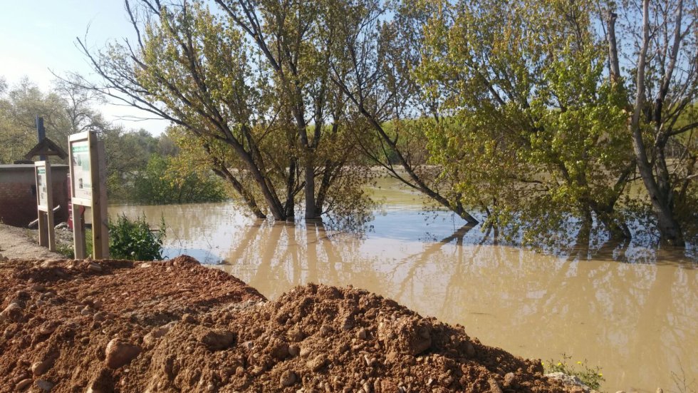 Una zona aneja al río en la localidad de Pradilla Una zona aneja al río en la localidad de Pradilla