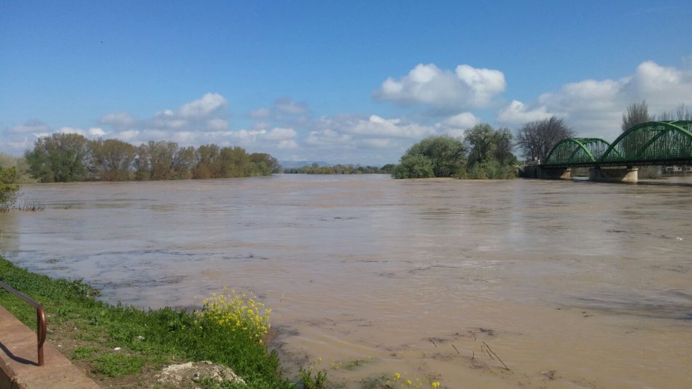 Zona inundada de Gallur Zona inundada de Gallur