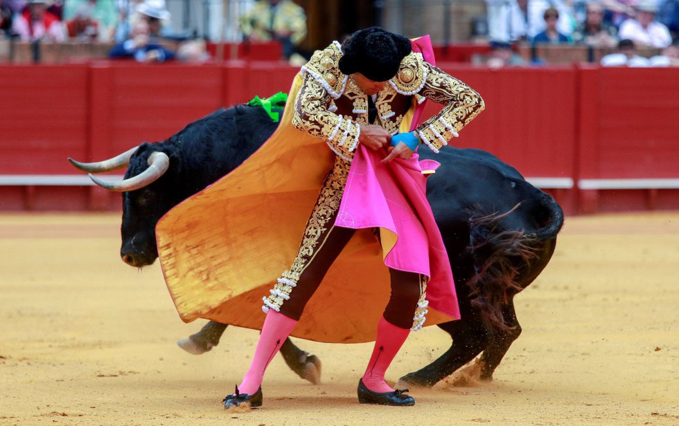 GRAF9332. SEVILLA, 21/04/2018.- El diestro Manuel Jesús "El Cid" en la faena con el capote a su primer toro, de la ganadería de Fuente Ymbro, en la decimotercera corrida de abono de la Feria de Abril, hoy en la Real Maestranza de Sevilla. EFE/Julio Muñoz GRAF9332. SEVILLA, 21/04/2018.- El diestro Manuel Jesús "El Cid" en la faena con el capote a su primer toro, de la ganadería de Fuente Ymbro, en la decimotercera corrida de abono de la Feria de Abril, hoy en la Real Maestranza de Sevilla. EFE/Julio Muñoz
