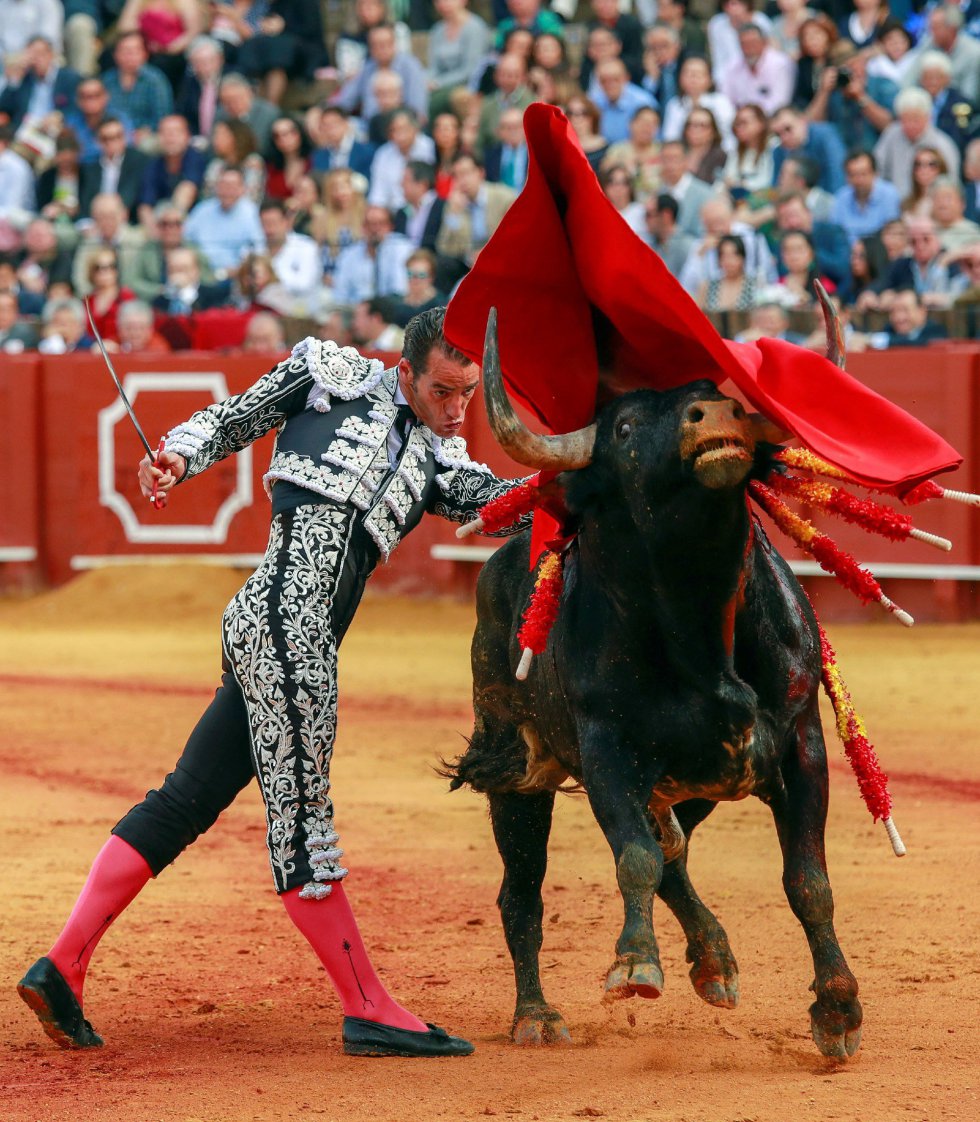 GRAF158. SEVILLA 22/04/2018,- El torero Pepe Moral en la faena con la muleta a su primer toro, de la ganadería de Miura, al que cortó una oreja en la decimocuarta corrida de abono de la Feria de Abril esta tarde en la Real Maestranza de Sevilla EFE/Julio Muñoz GRAF158. SEVILLA 22/04/2018,- El torero Pepe Moral en la faena con la muleta a su primer toro, de la ganadería de Miura, al que cortó una oreja en la decimocuarta corrida de abono de la Feria de Abril esta tarde en la Real Maestranza de Sevilla EFE/Julio Muñoz