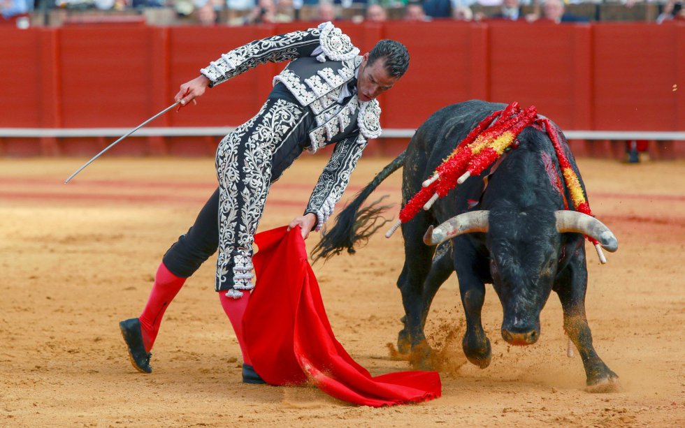 GRAF150. SEVILLA, 22/04/2018.- El torero Pepe Moral en la faena con la muleta a su primer toro, de la ganadería de Miura, al que cortó una oreja, en la decimocuarta corrida de abono de la Feria de Abril, esta tarde en la Real Maestranza de Sevilla. EFE/Julio Muñoz GRAF150. SEVILLA, 22/04/2018.- El torero Pepe Moral en la faena con la muleta a su primer toro, de la ganadería de Miura, al que cortó una oreja, en la decimocuarta corrida de abono de la Feria de Abril, esta tarde en la Real Maestranza de Sevilla. EFE/Julio Muñoz