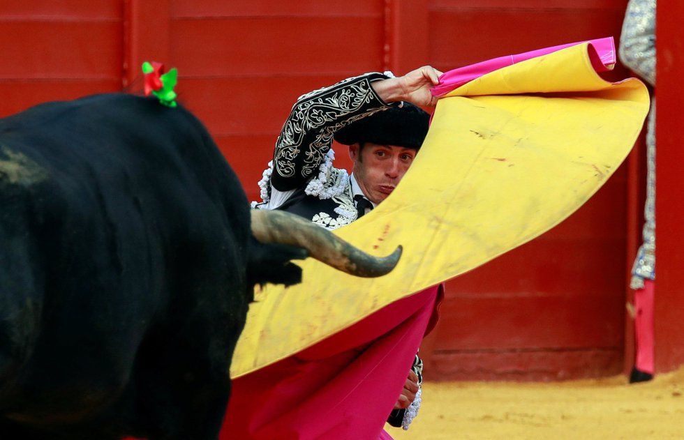 GRAF151. SEVILLA, 22/04/2018.- El torero Pepe Moral en la faena con la capote a su segundo toro, de la ganadería de Miura, al que cortó su segunda oreja, en la decimocuarta corrida de abono de la Feria de Abril, esta tarde en la Real Maestranza de Sevilla. EFE/Julio Muñoz GRAF151. SEVILLA, 22/04/2018.- El torero Pepe Moral en la faena con la capote a su segundo toro, de la ganadería de Miura, al que cortó su segunda oreja, en la decimocuarta corrida de abono de la Feria de Abril, esta tarde en la Real Maestranza de Sevilla. EFE/Julio Muñoz