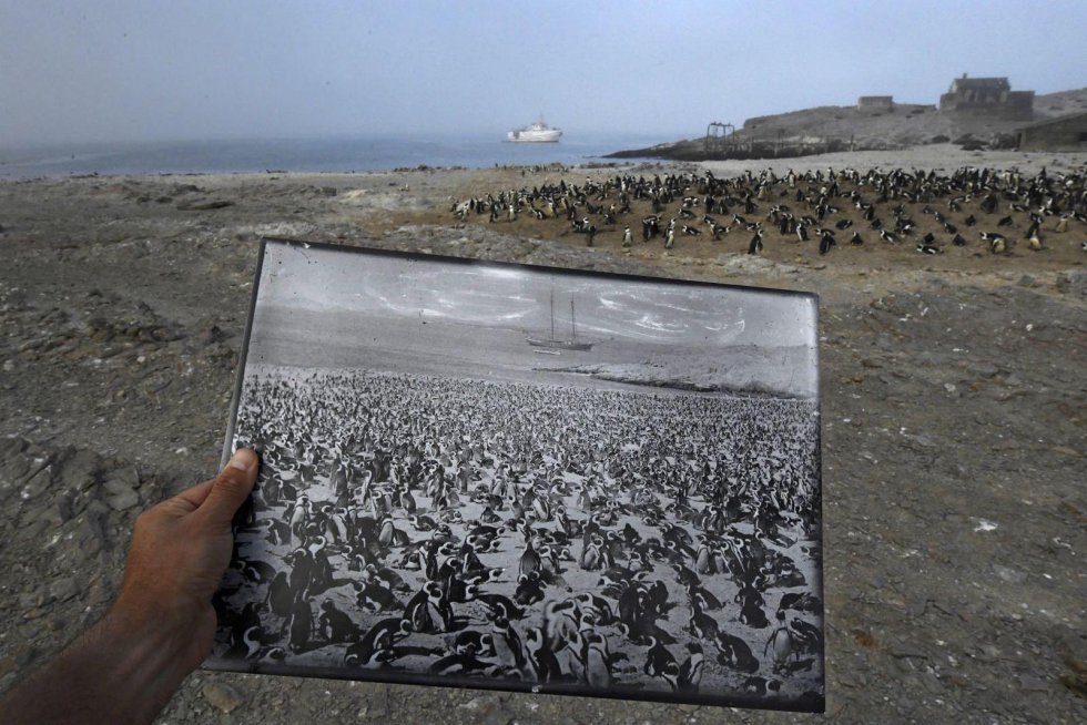 Exposición World Press Photo 2018, Fundación Cajasol: Disfruta aquí con algunas de las mejores imágenes del World Press Photo 2018 Exposición World Press Photo 2018, Fundación Cajasol: Disfruta aquí con algunas de las mejores imágenes del World Press Photo 2018