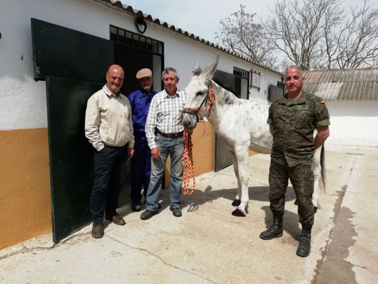 En Total Se Ha Actuado Sobre 1 Yeguas Cincuenta Mas Que El Pasado Ano Finaliza La Campana En La Parada De Sementales Aumentando El Numero De Animales Inseminados Radio Coca