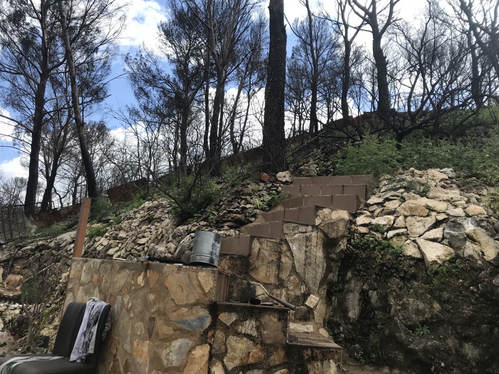 Fotogalería: El incendio de Llutxent, dos meses después Fotogalería: El incendio de Llutxent, dos meses después