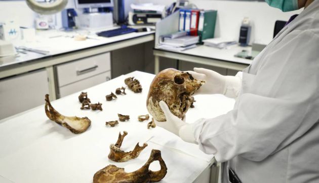 Una trabajadora del Instituto Nacional de Toxicología analiza unos restos humanos.
