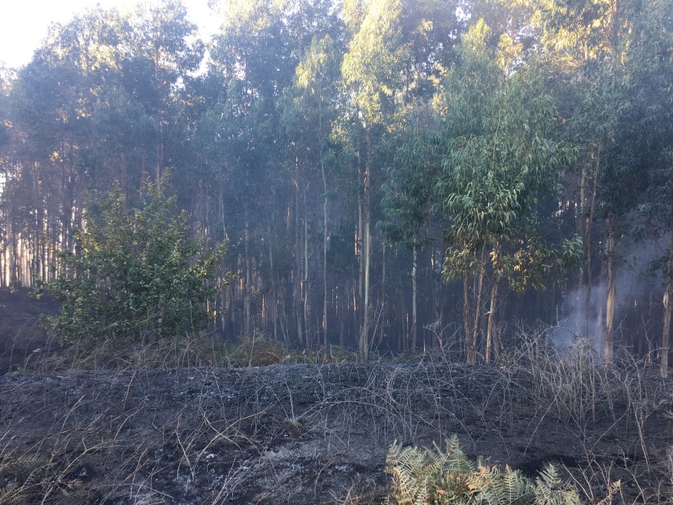Incendio Mondariz: Así es la huella que dejó el incendio de Mondariz Incendio Mondariz: Así es la huella que dejó el incendio de Mondariz