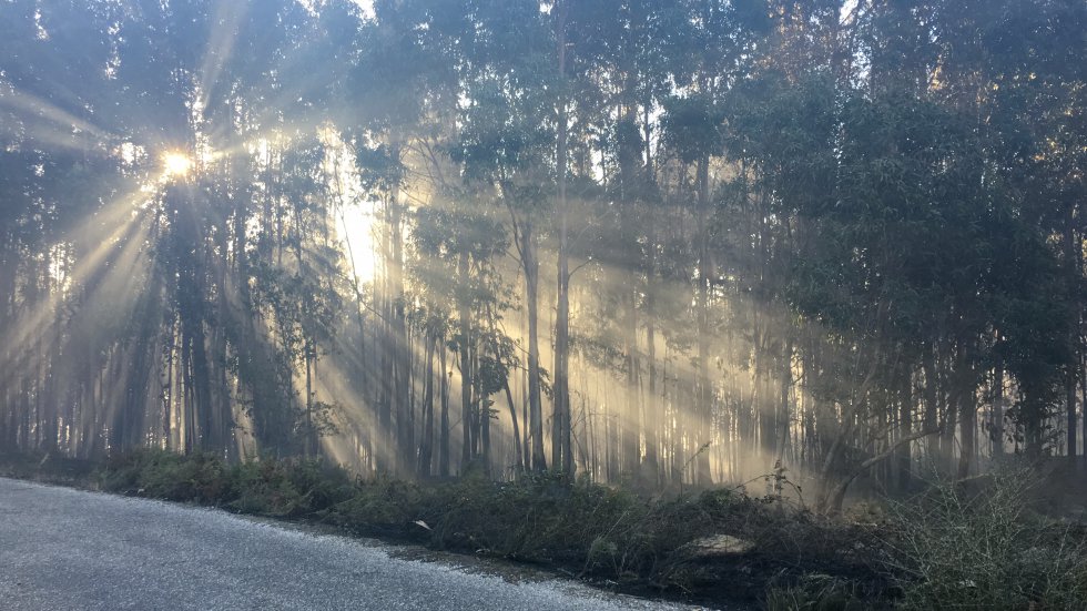 Incendio Mondariz: Así es la huella que dejó el incendio de Mondariz Incendio Mondariz: Así es la huella que dejó el incendio de Mondariz