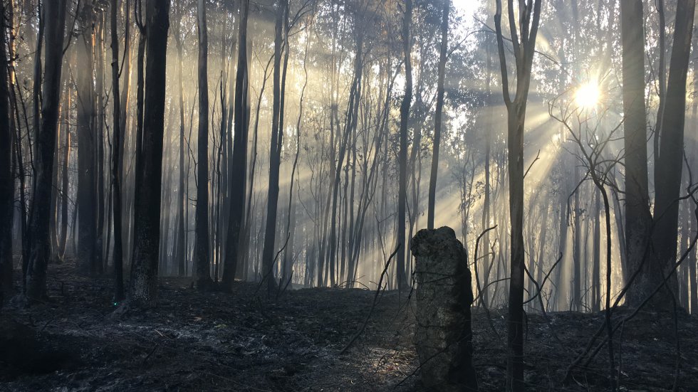 Incendio Mondariz: Así es la huella que dejó el incendio de Mondariz Incendio Mondariz: Así es la huella que dejó el incendio de Mondariz