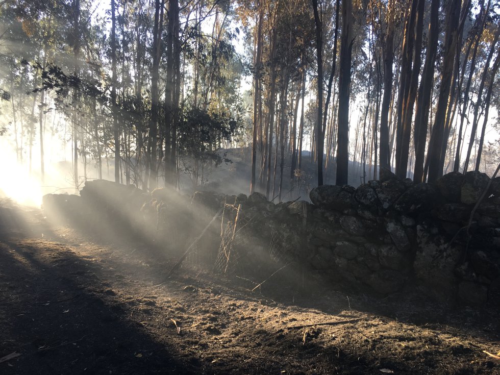 Incendio Mondariz: Así es la huella que dejó el incendio de Mondariz Incendio Mondariz: Así es la huella que dejó el incendio de Mondariz