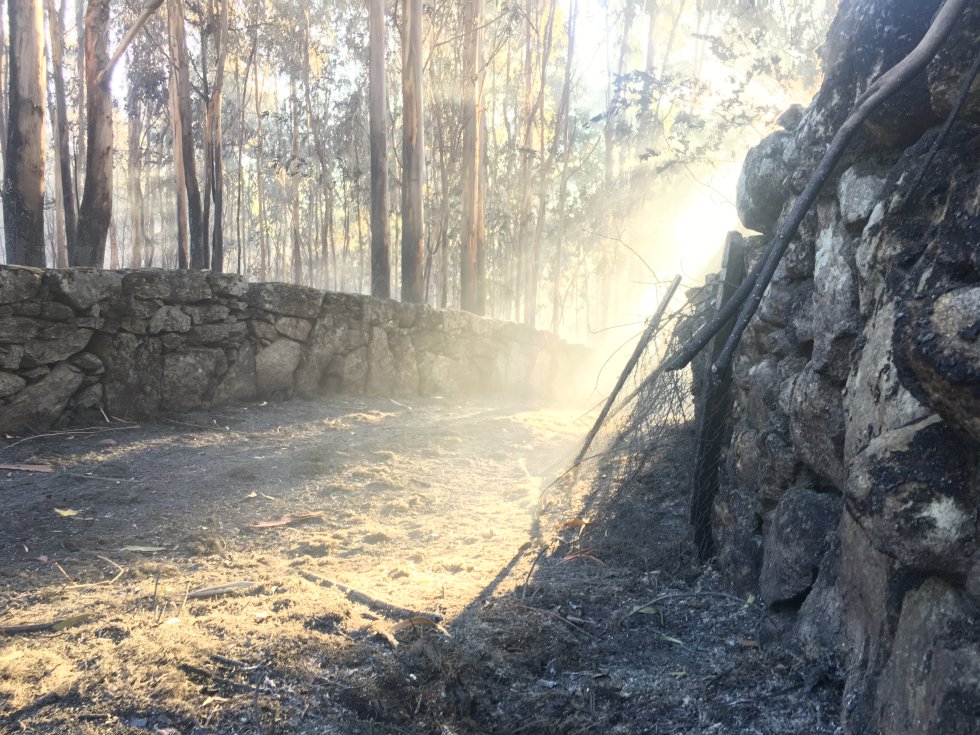 Incendio Mondariz: Así es la huella que dejó el incendio de Mondariz Incendio Mondariz: Así es la huella que dejó el incendio de Mondariz