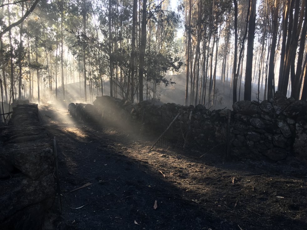 Incendio Mondariz: Así es la huella que dejó el incendio de Mondariz Incendio Mondariz: Así es la huella que dejó el incendio de Mondariz