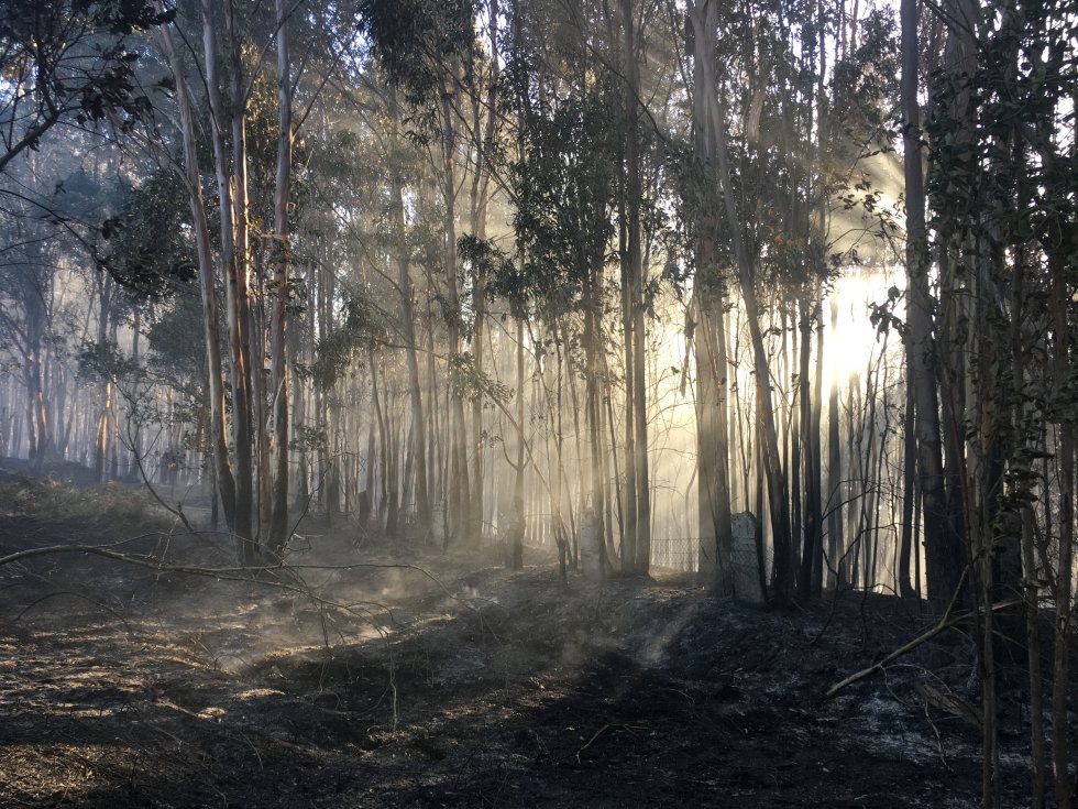 Incendio Mondariz: Así es la huella que dejó el incendio de Mondariz Incendio Mondariz: Así es la huella que dejó el incendio de Mondariz