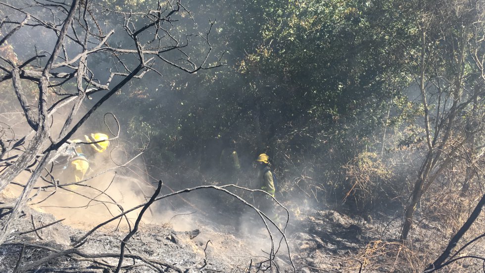 Incendio Mondariz: Así es la huella que dejó el incendio de Mondariz Incendio Mondariz: Así es la huella que dejó el incendio de Mondariz