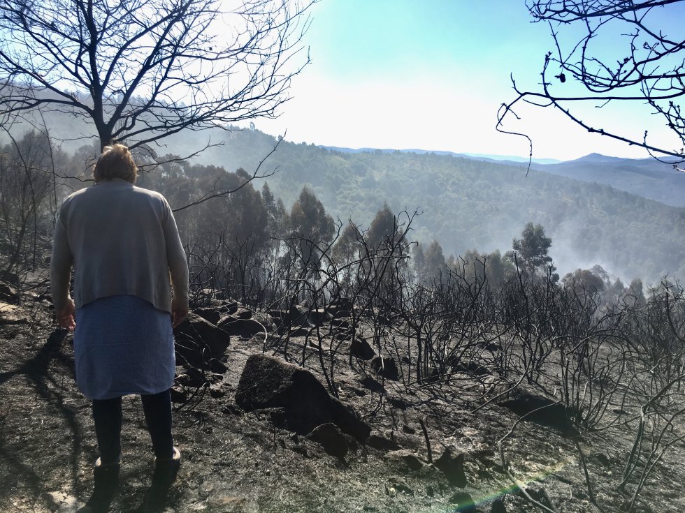 Incendio Mondariz: Así es la huella que dejó el incendio de Mondariz Incendio Mondariz: Así es la huella que dejó el incendio de Mondariz