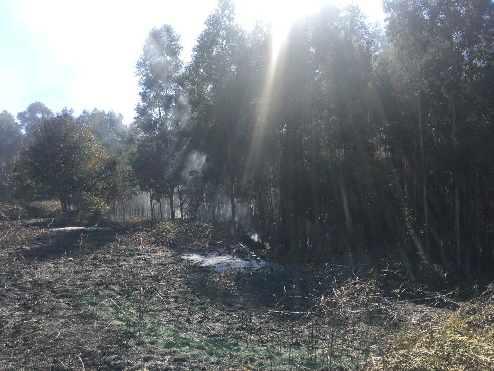 Incendio Mondariz: Así es la huella que dejó el incendio de Mondariz Incendio Mondariz: Así es la huella que dejó el incendio de Mondariz