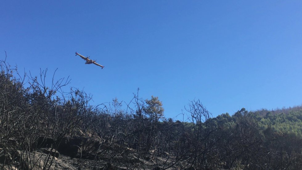 Incendio Mondariz: Así es la huella que dejó el incendio de Mondariz Incendio Mondariz: Así es la huella que dejó el incendio de Mondariz