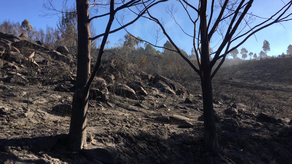 Incendio Mondariz: Así es la huella que dejó el incendio de Mondariz Incendio Mondariz: Así es la huella que dejó el incendio de Mondariz