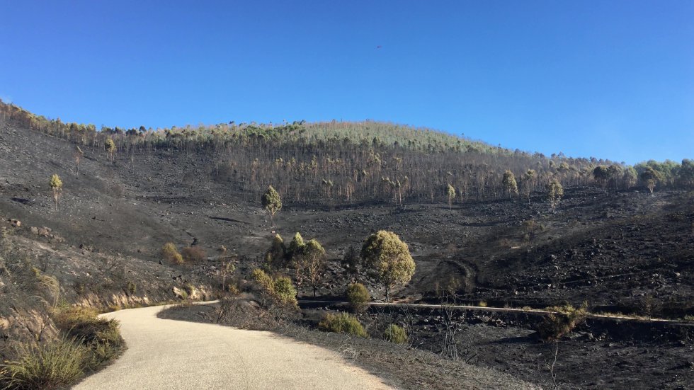 Incendio Mondariz: Así es la huella que dejó el incendio de Mondariz Incendio Mondariz: Así es la huella que dejó el incendio de Mondariz
