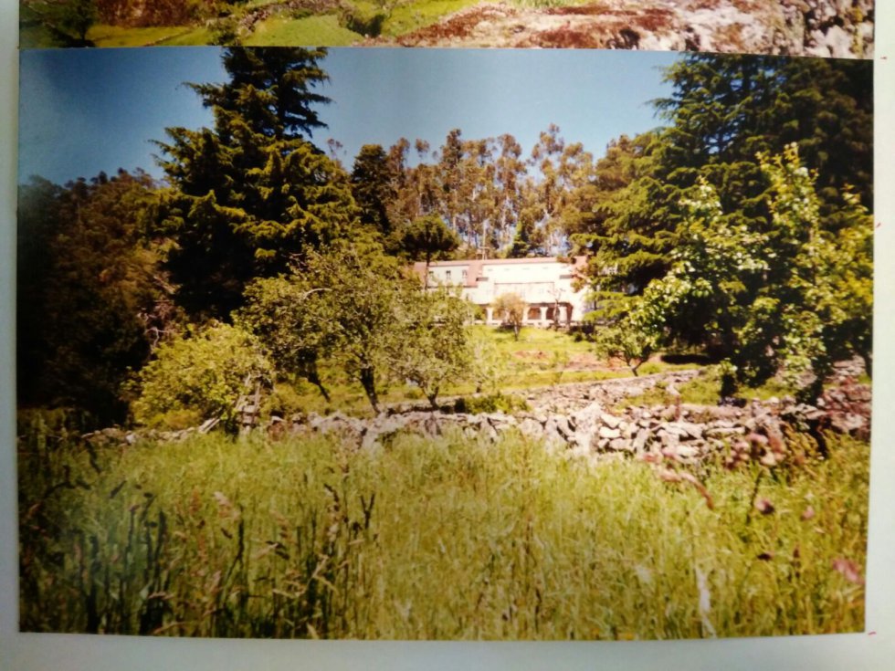 Las colonias de Laxedo, años 80 Las colonias de Laxedo, años 80