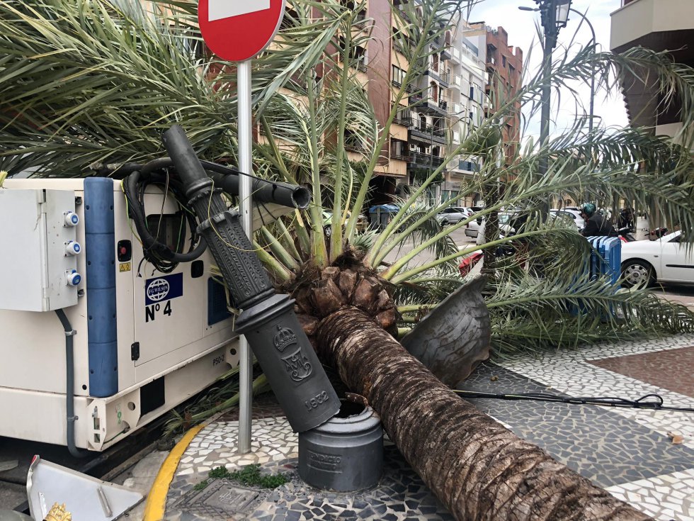La palmera ha destrozado una farola y un gran macetero La palmera ha destrozado una farola y un gran macetero