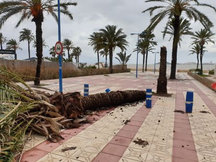 El Viento Y El Oleaje Se Dejan Notar En La Manga Y Cabo De Palos Radio Cartagena Cadena Ser