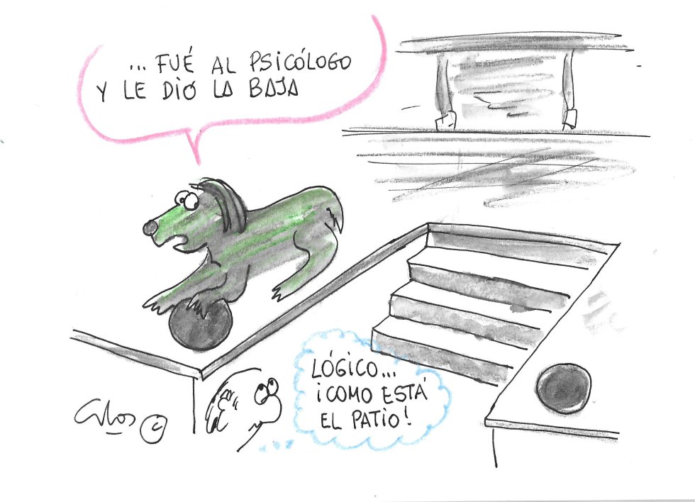 Psicólogo Psicólogo