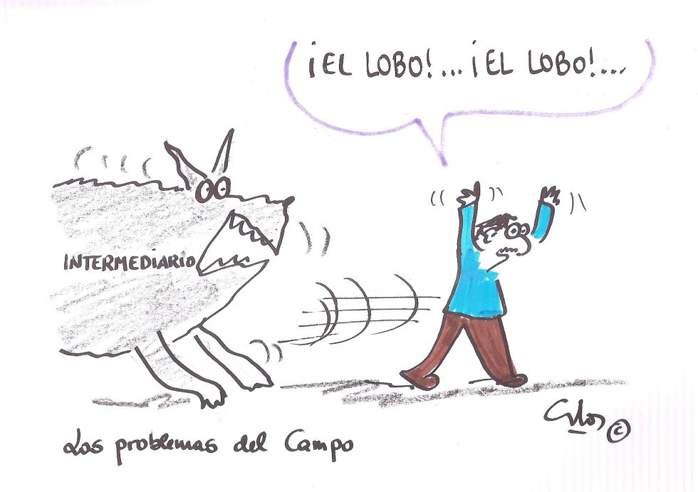 El campo El campo