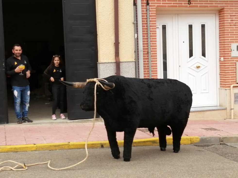 Una Veguilla insólita Una Veguilla insólita