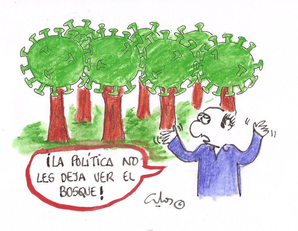 La viñeta de Villanueva, el bosque La viñeta de Villanueva, el bosque