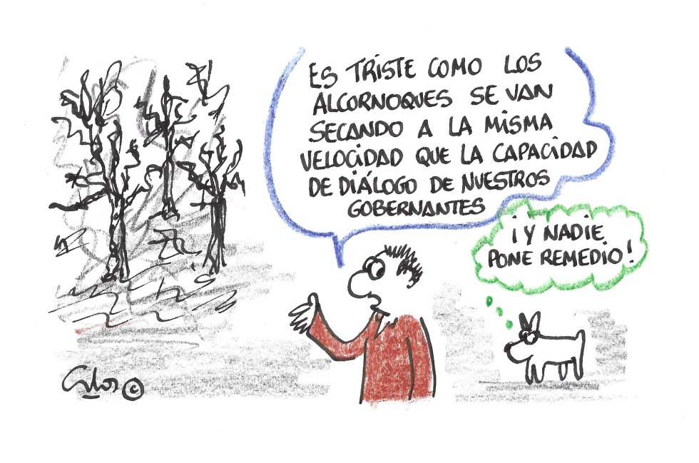 La viñeta de Villanueva, la seca del alcornoque. La viñeta de Villanueva, la seca del alcornoque.