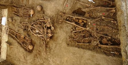 Resto óseos hallados en una fosa del cementerio de Jimena