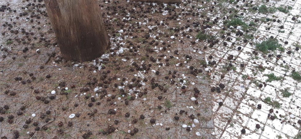El granizo deja numerosos daños en Ciudad Real El granizo deja numerosos daños en Ciudad Real