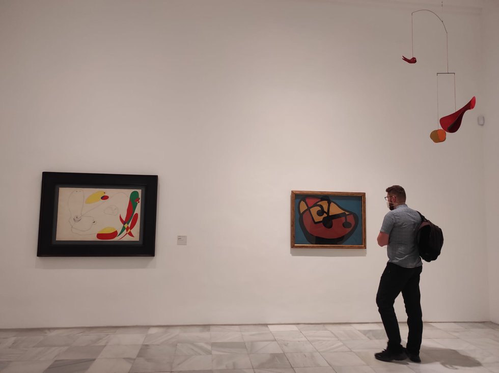 Visitante en una de las salas de la exposición Visitante en una de las salas de la exposición