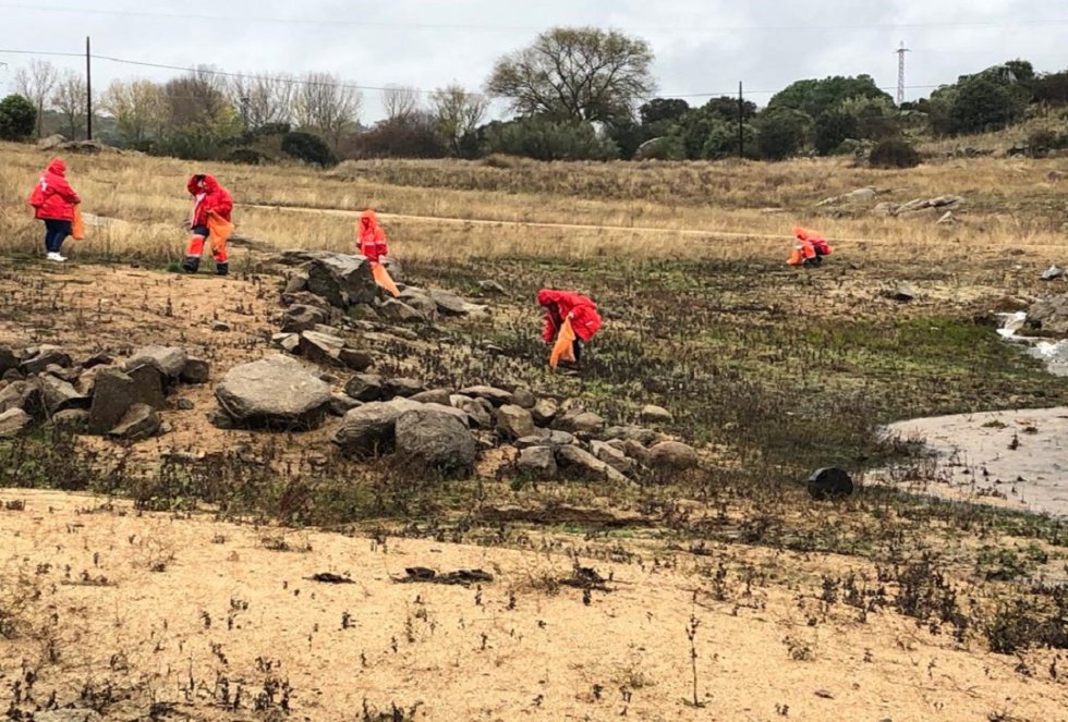 Recogen 733 kilos de basura en El Burguillo (Ávila) Recogen 733 kilos de basura en El Burguillo (Ávila)
