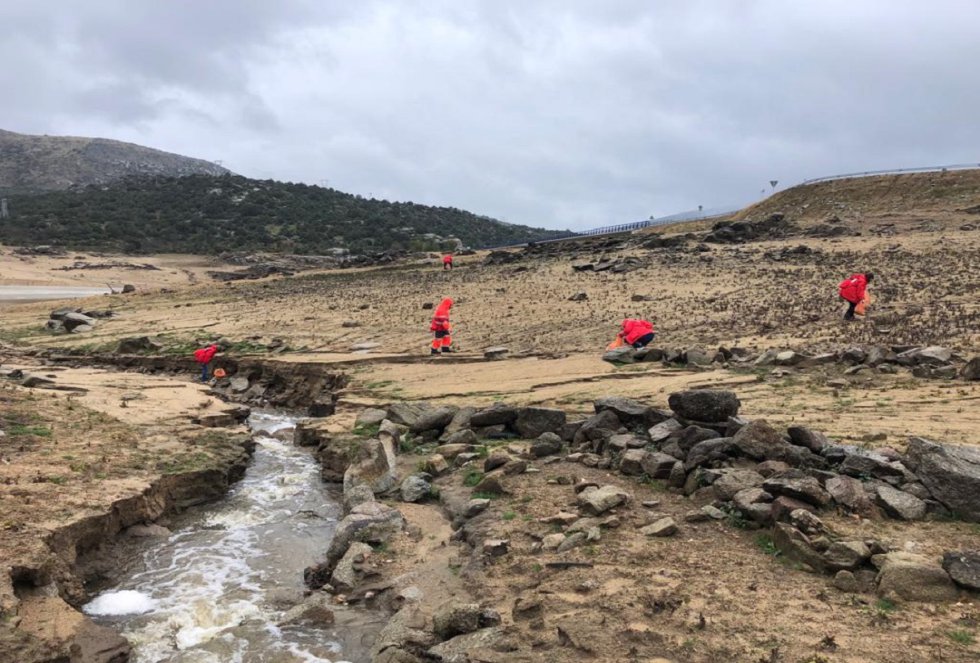 Recogen 733 kilos de basura en El Burguillo (Ávila) Recogen 733 kilos de basura en El Burguillo (Ávila)