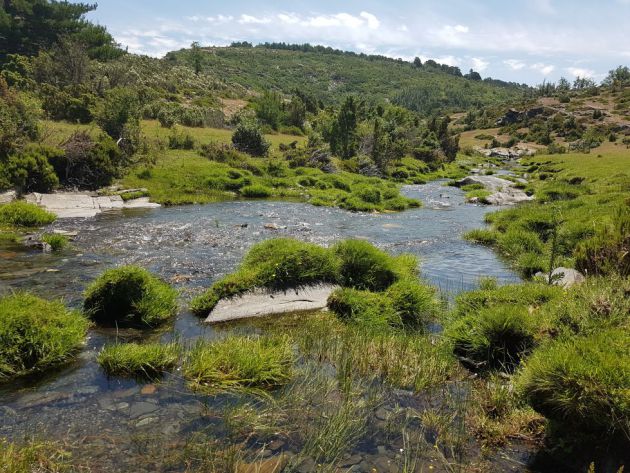 Río Lillas en la zona de Cantalojas