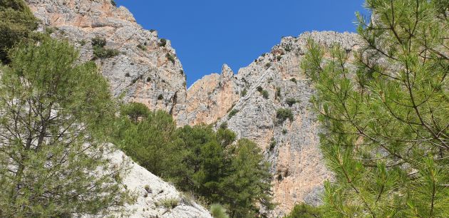Parque natural Sierra de Castril (Granada)