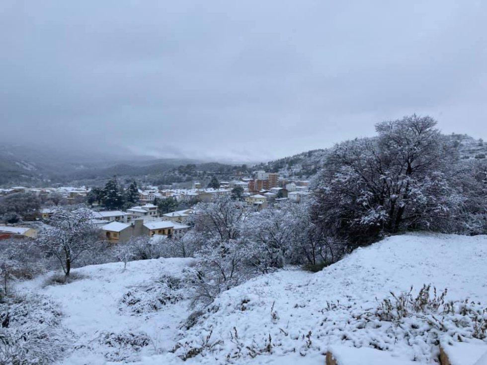 Viver nevado Viver nevado
