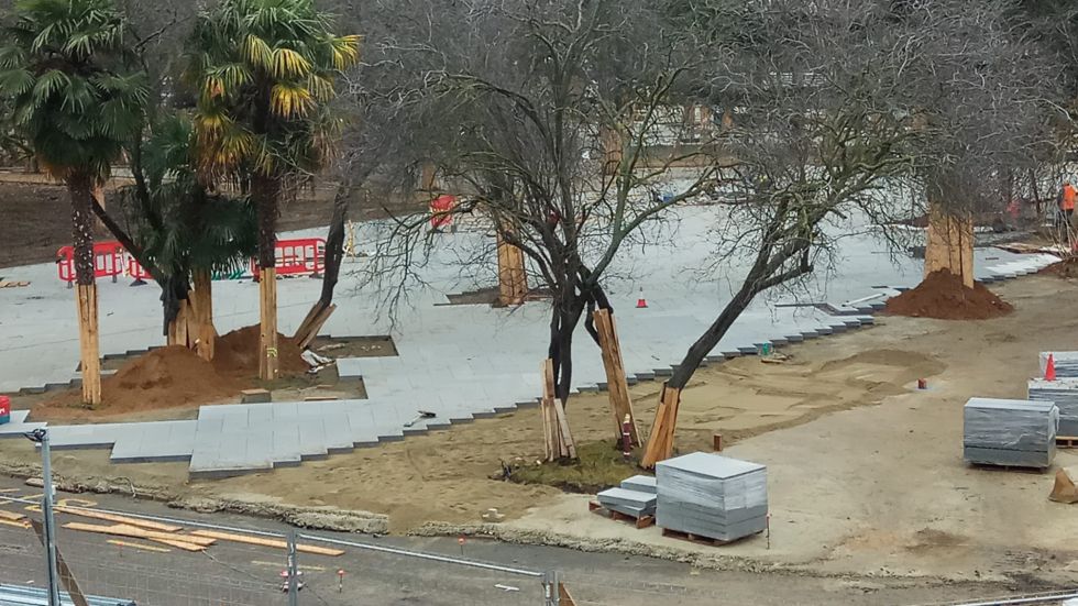 Los árboles del parque, que tanta polémica han suscitado por la tala de parte de ellos inicialmente prevista por el proyecto, se encuentran ahora protegidos durante las obras Los árboles del parque, que tanta polémica han suscitado por la tala de parte de ellos inicialmente prevista por el proyecto, se encuentran ahora protegidos durante las obras