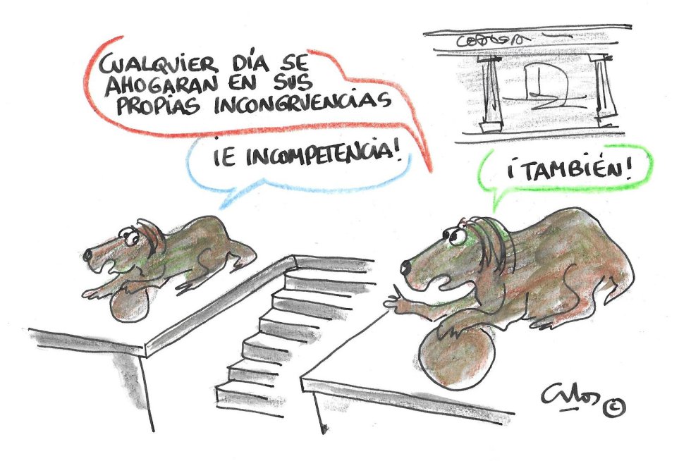 La viñeta de Villanueva, incongruencias La viñeta de Villanueva, incongruencias
